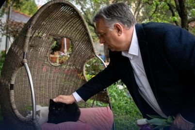 allatvedelem-orban_2.jpg