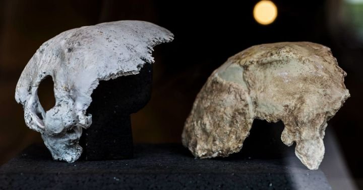 az_orszag_legidosebb_embere_kerek_evfordulot_unnepel-1200x630-crop.jpg