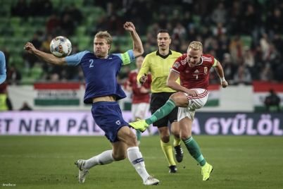 finnhun.jpg