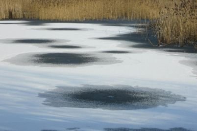 pexels-szymon-helmecki-128226502-10786478.jpeg