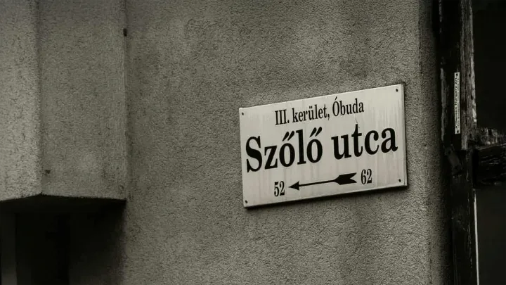 szolo-utca-debrecen.webp